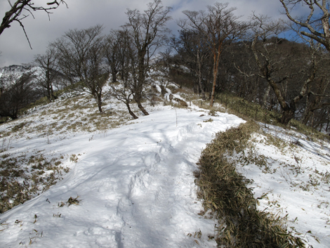 20170118hike (292)